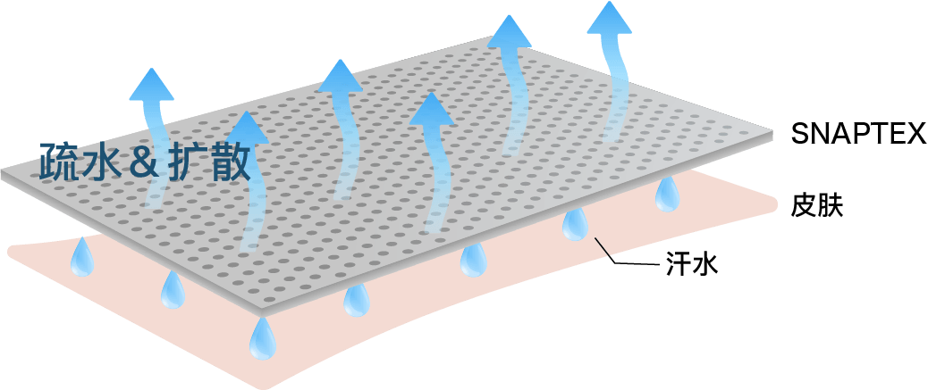 SNAPTEX 的剖面示意图
